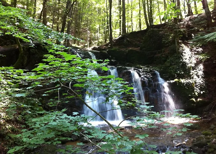 Bio-hotel Schiessentobel 4*